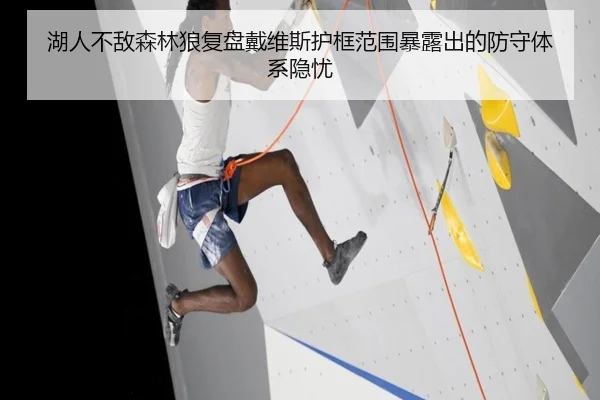 湖人不敌森林狼复盘戴维斯护框范围暴露出的防守体系隐忧